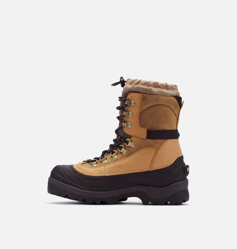 Sorel Herr Vinterkängor Brun/Svarta - Conquest™ - ANX-426809